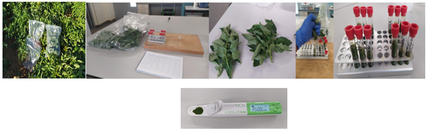 Digispac%20figura%207